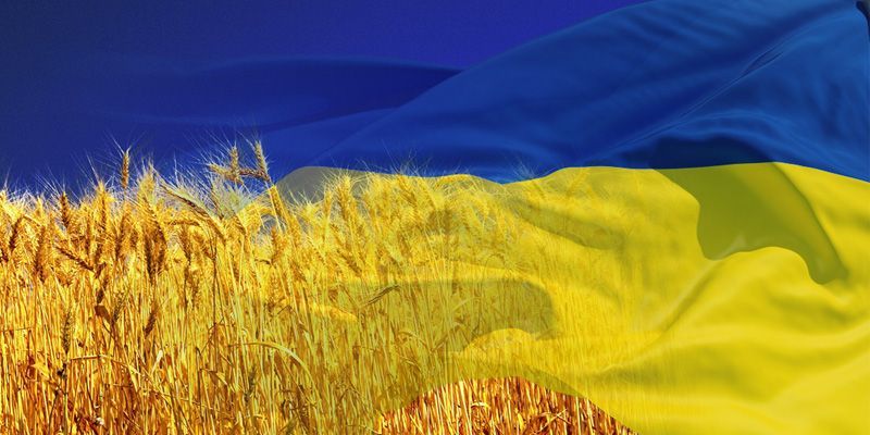 Привітати з Днем Незалежності України своїми словами
